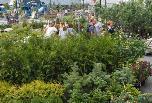 Фестиваль шведской культуры Мидсоммар