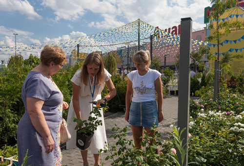 Фестиваль шведской культуры Мидсоммар
