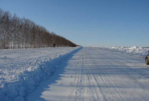 Поля зимой