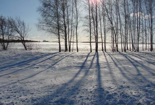 Поля зимой